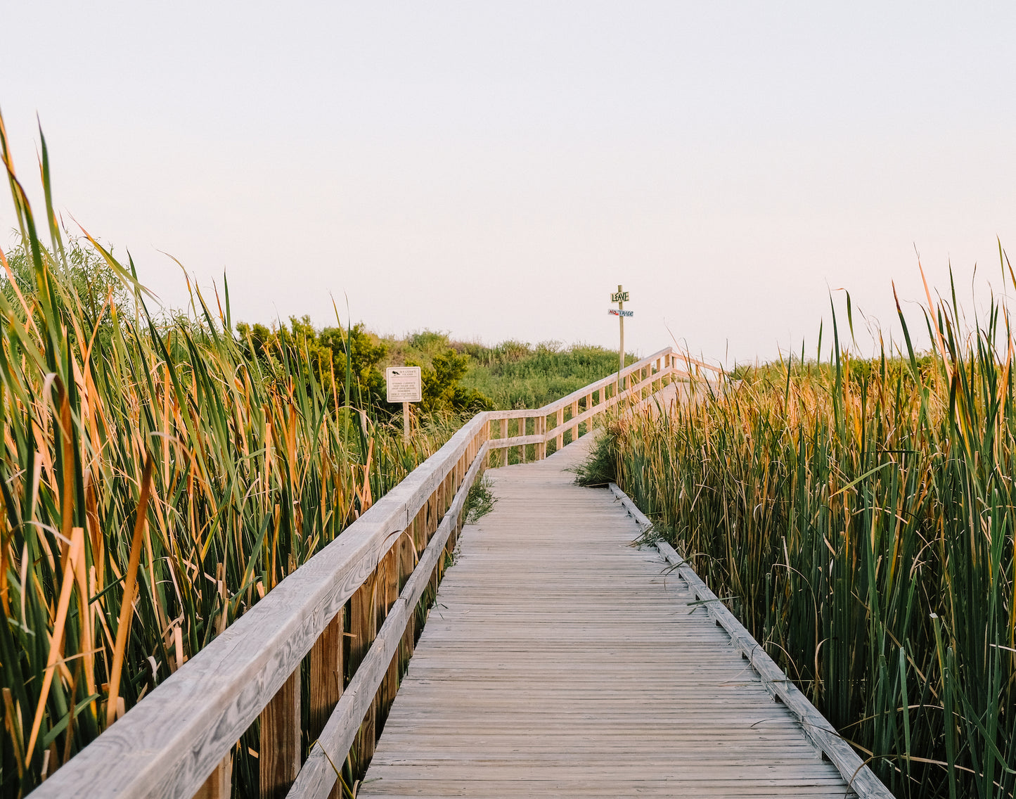 Sullivan's Island Boardwalk