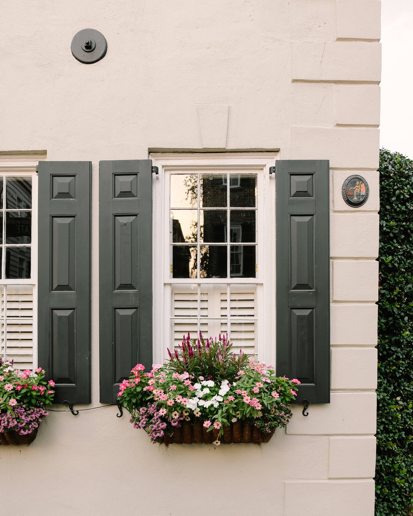 Window Box Wednesday