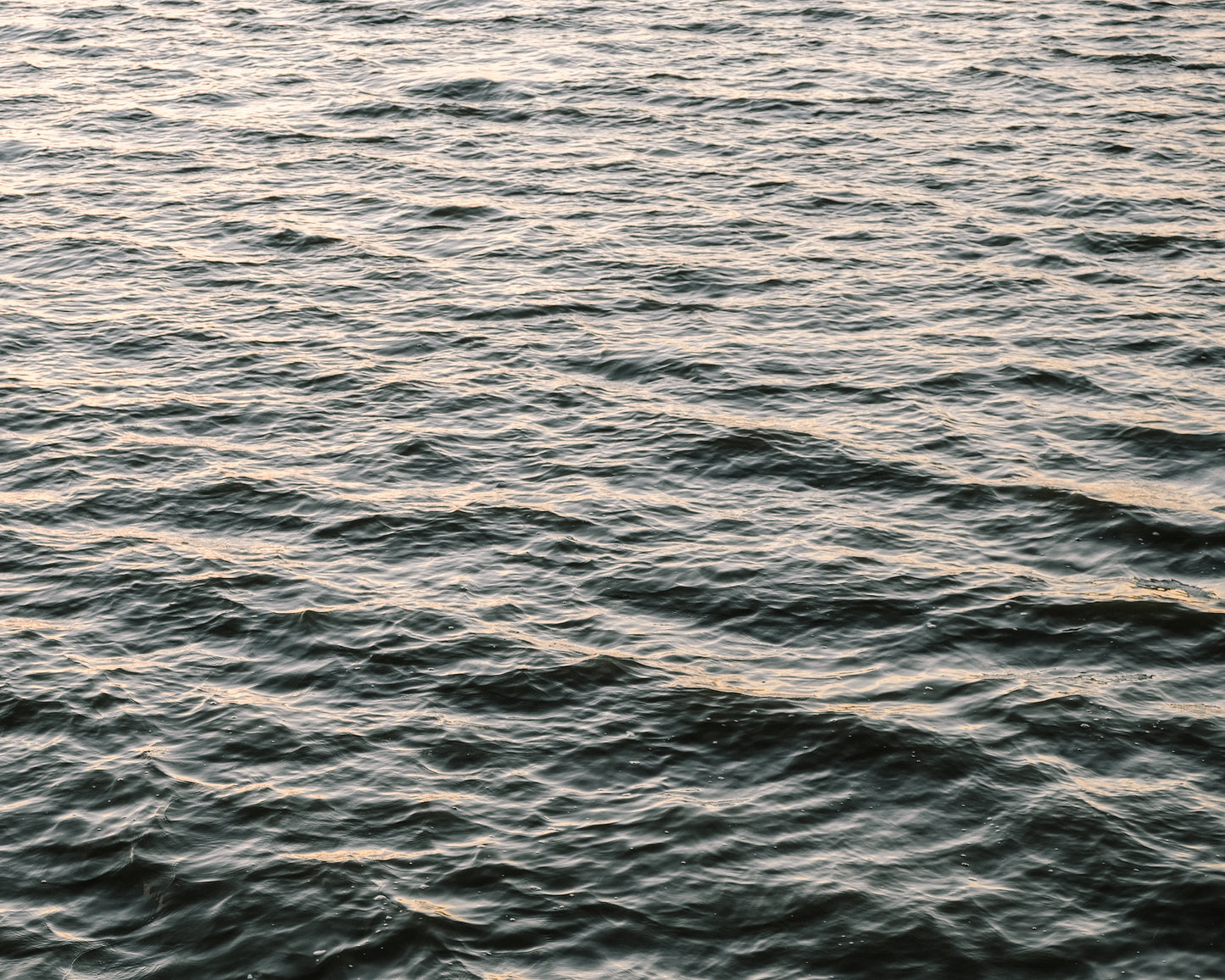 Tidal waters of the Ashley River in Charleston’s Lowcountry with gentle ripples