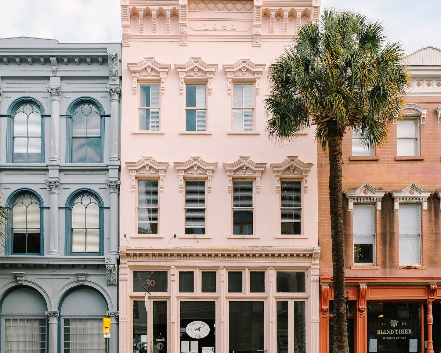 Historic buildings and palm trees along Broad Street in downtown Charleston