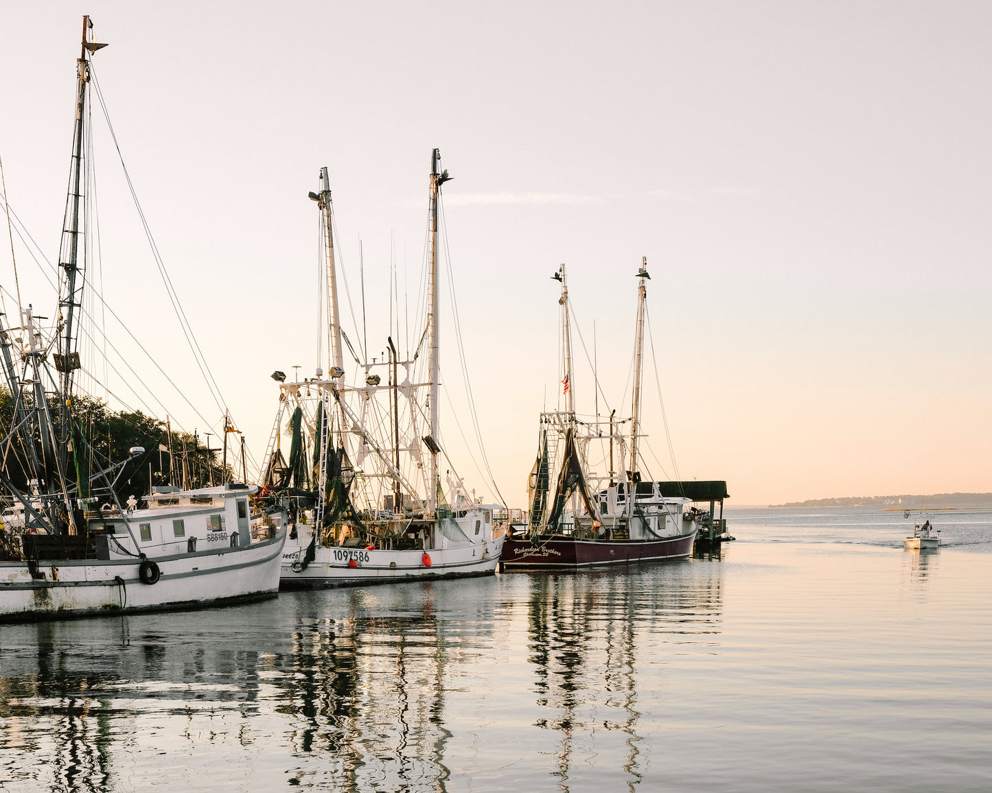 Shrimp boats resting on calm water at Shem Creek in Mount Pleasant during early morning light