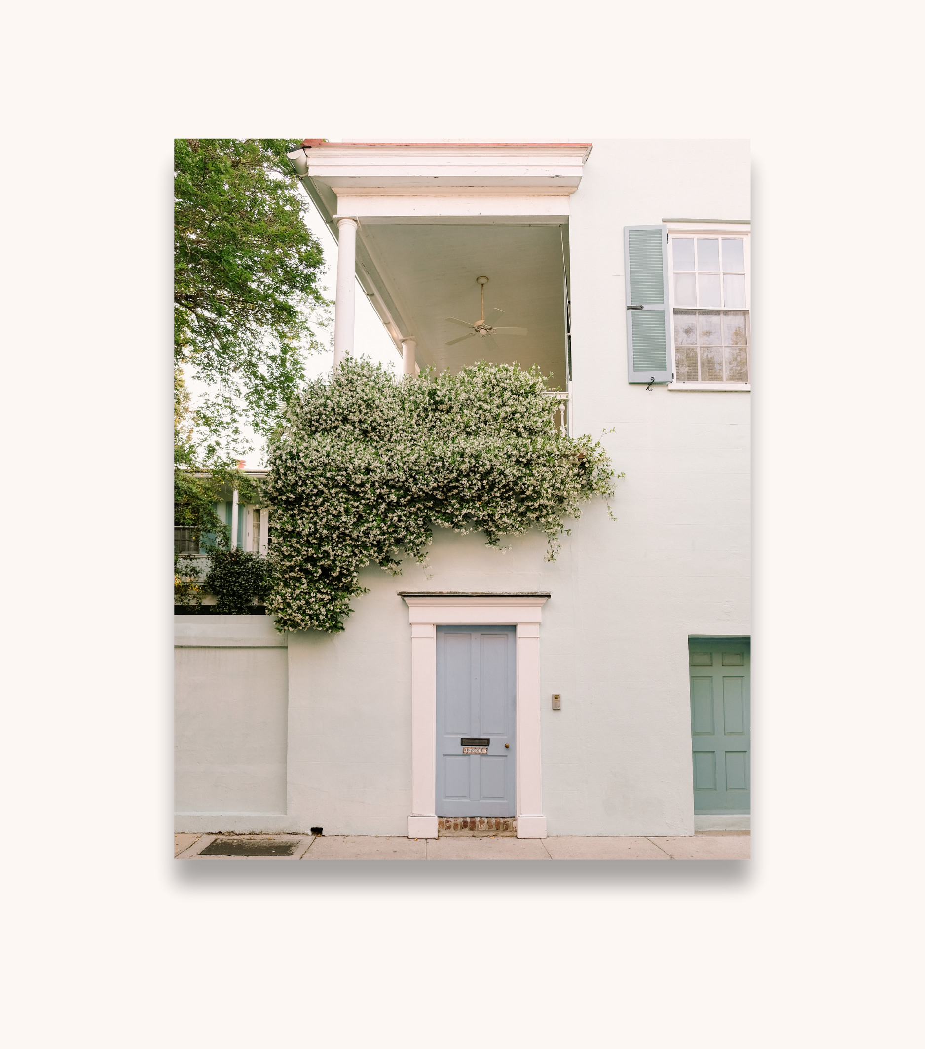 Charleston blue door photography print with jasmine vines and historic architecture