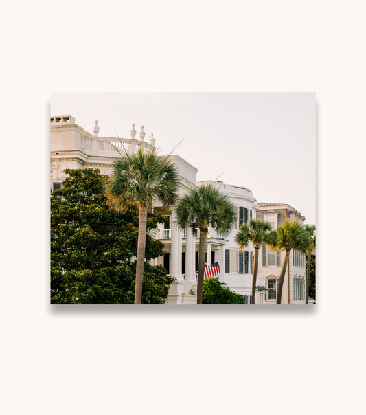 5 Battery Palms Charleston photography print featuring waterfront homes and palm trees