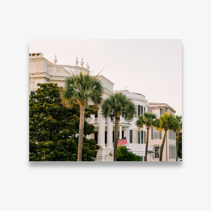 5 Battery Palms
