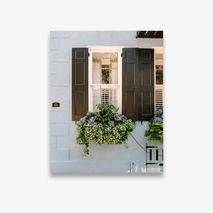 Hydrangea-filled Charleston window box with black shutters and soft blue exterior – fine art print by Kelsey Bird