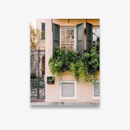 In Bloom