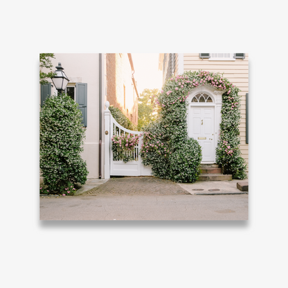 Blooming jasmine on historic Church Street home in Charleston – Charleston photography print