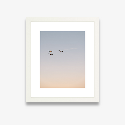 Pelicans flying over the Charleston waterfront – Take Flight print by Kelsey Bird