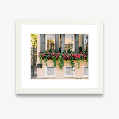 Symmetrical trio of Charleston window boxes in bloom – fine art photography print