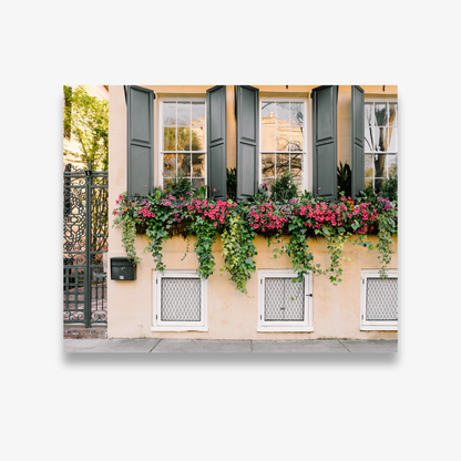 Symmetrical trio of Charleston window boxes in bloom – fine art photography print