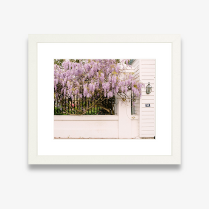Wisteria Lane