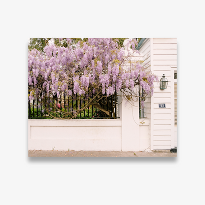 Wisteria Lane