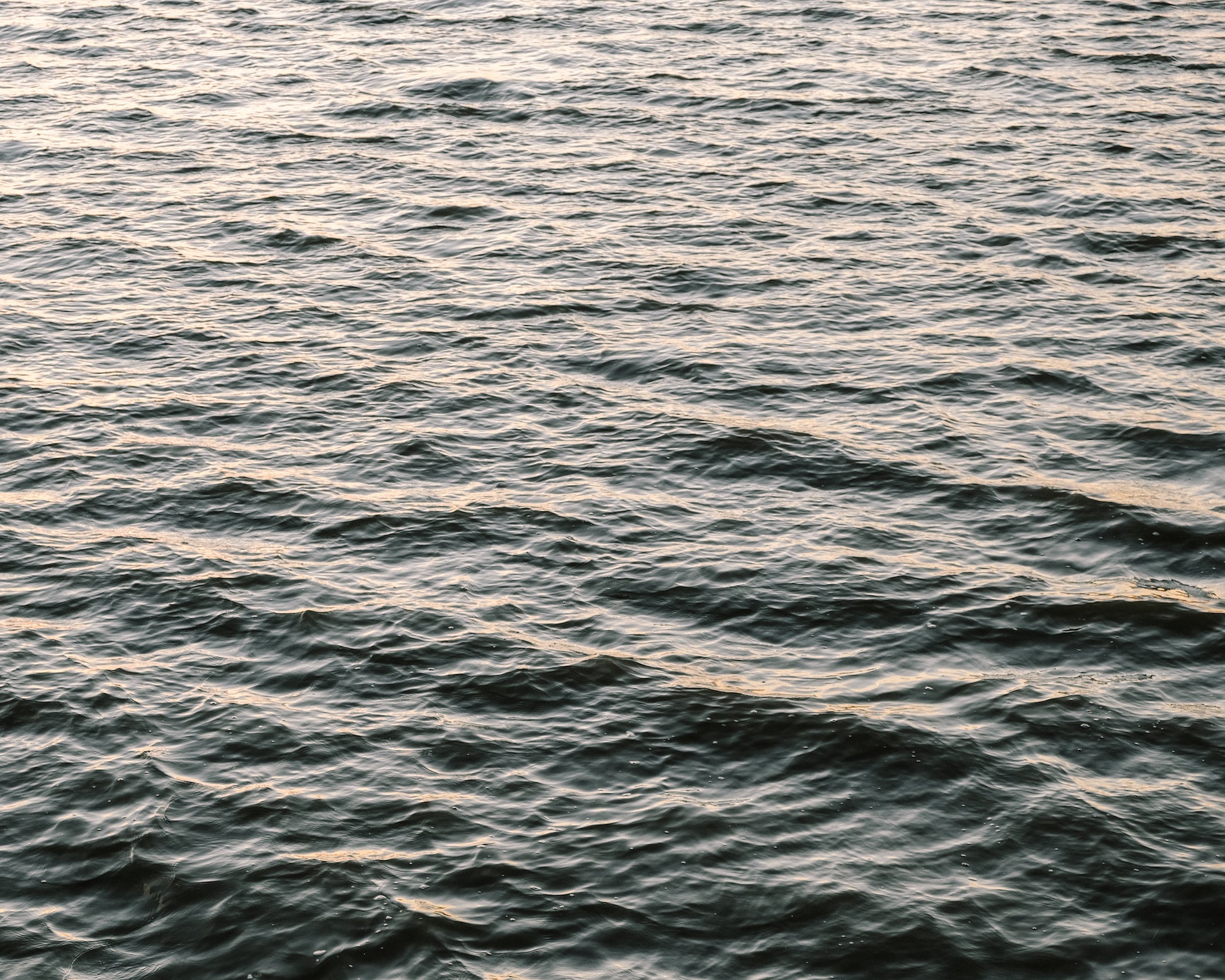 Tidal waters of the Ashley River in Charleston’s Lowcountry with gentle ripples