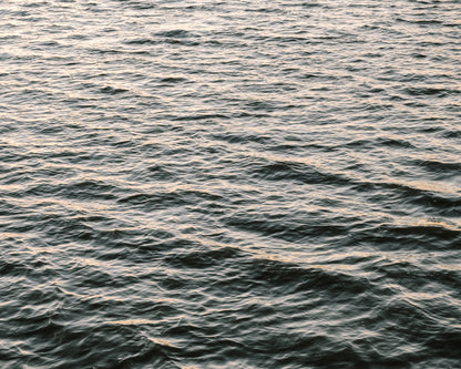 Tidal waters of the Ashley River in Charleston’s Lowcountry with gentle ripples