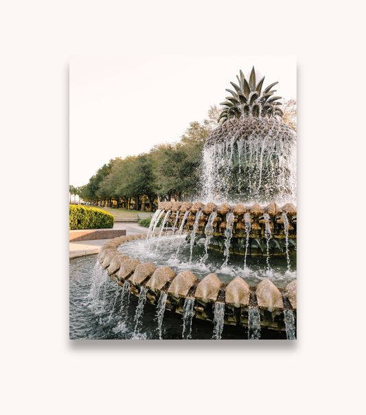 Charleston pineapple photography print inspired by historic Southern design