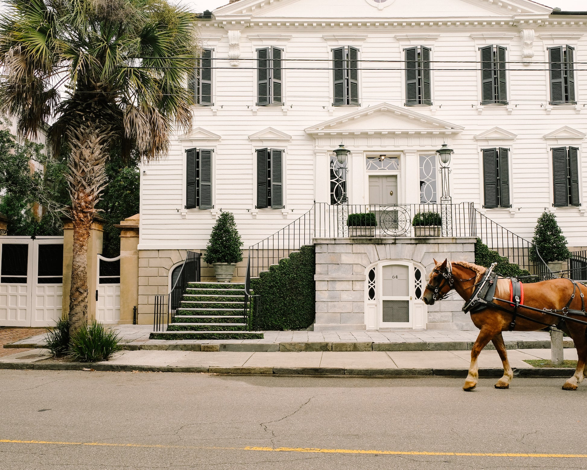 Horse-drawn carriage passing a historic Charleston home on a downtown street