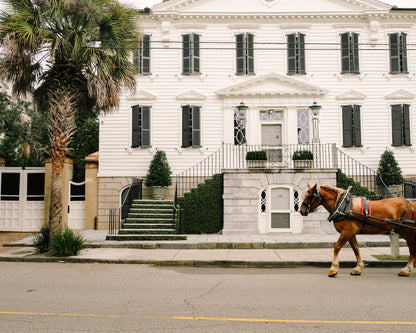 Horse-drawn carriage passing a historic Charleston home on a downtown street