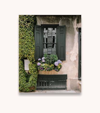 Charleston floral photography print featuring hydrangeas in the South of Broad neighborhood