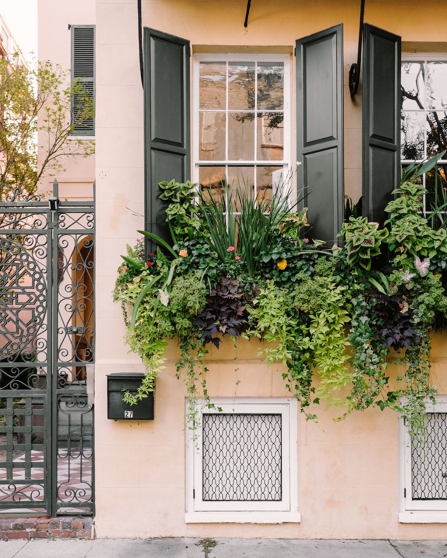 Lush Charleston window box overflowing with greenery and colorful flowers beneath classic shutters