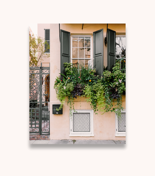 Charleston wall art print featuring a vibrant window box filled with greenery and blooms