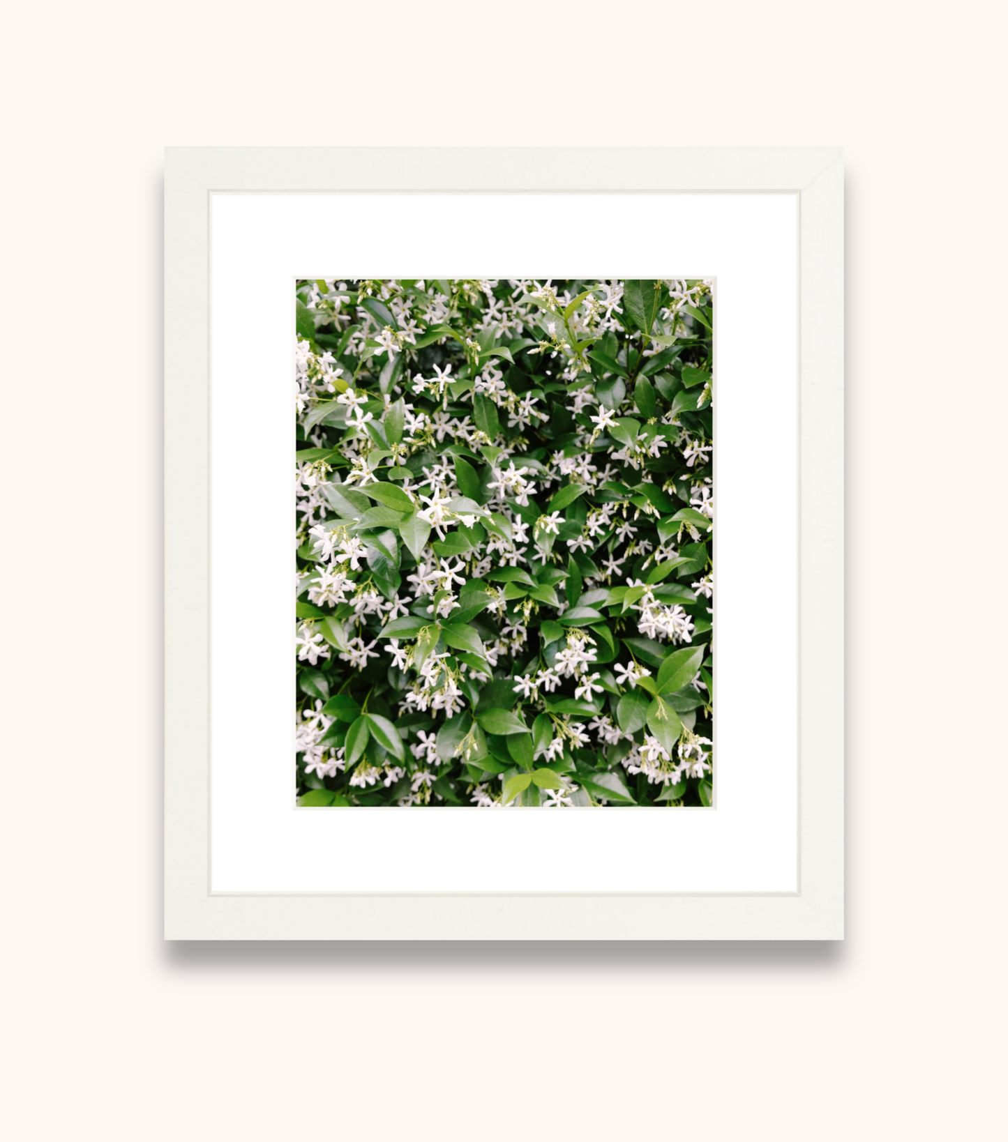 Framed Charleston wall art featuring blooming jasmine flowers