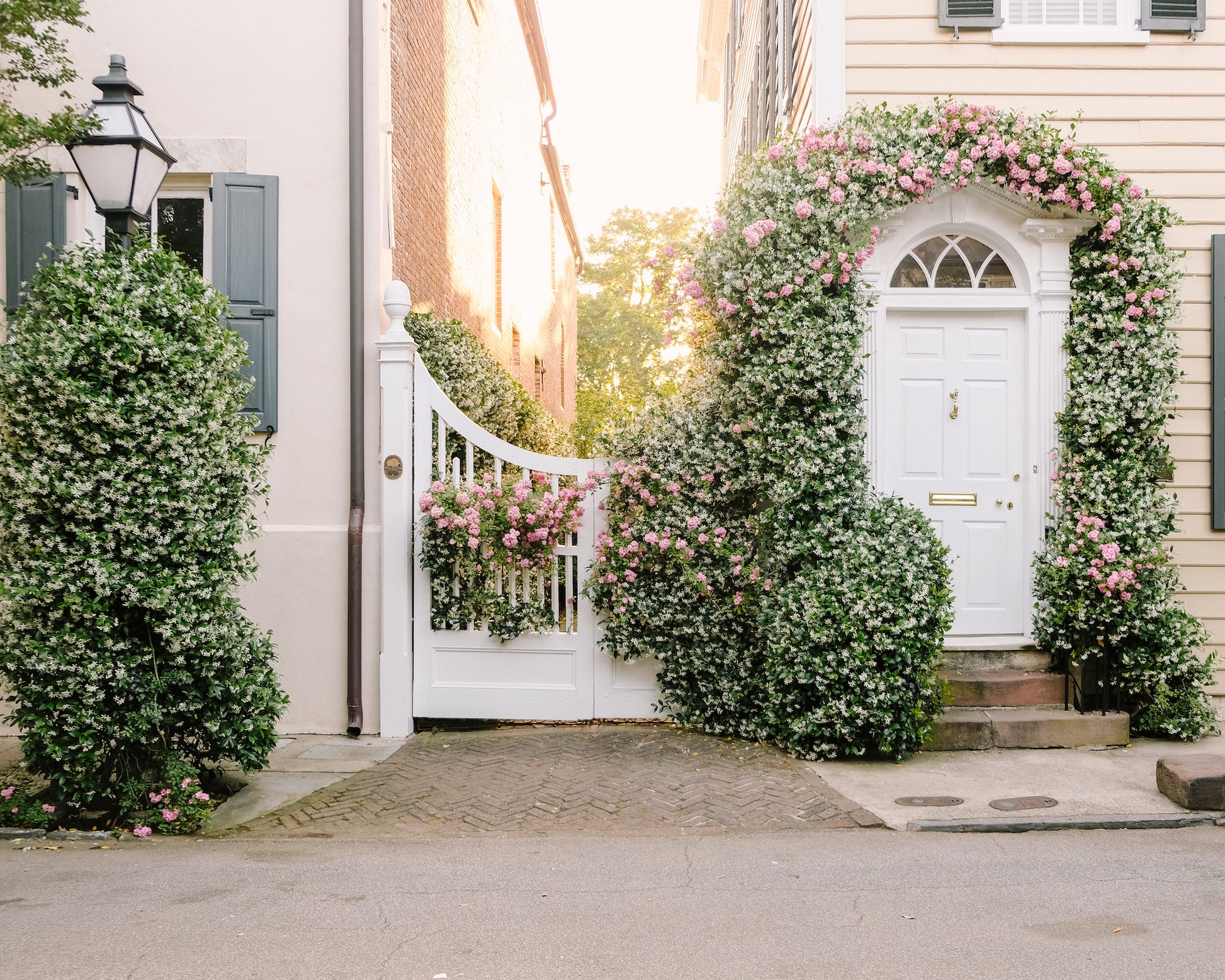 Charleston jasmine blooming on historic Church Street architecture in downtown Charleston