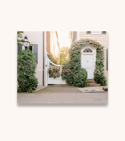 Charleston floral photography print featuring jasmine on Church Street