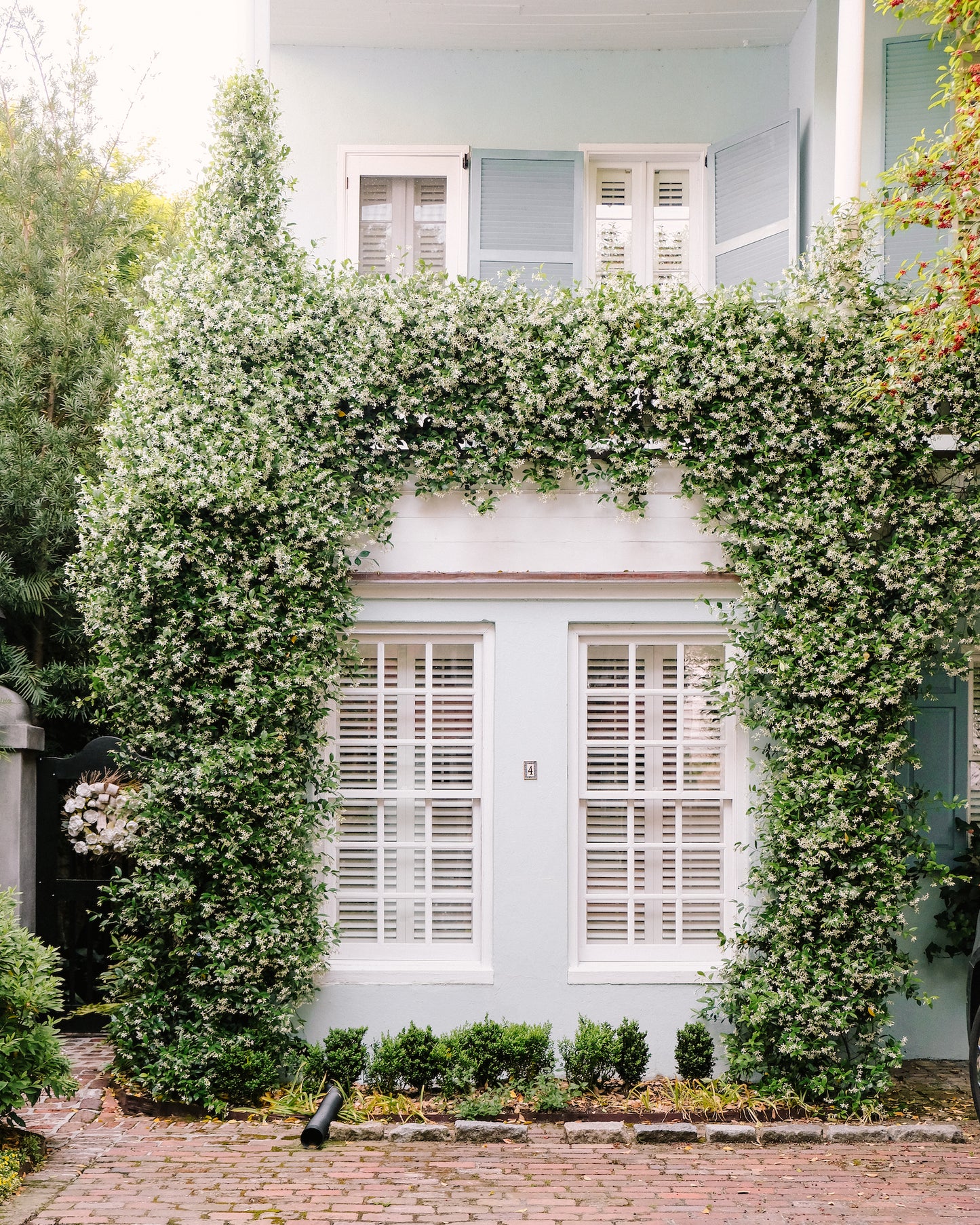 White jasmine vines growing across a soft blue Charleston house façade