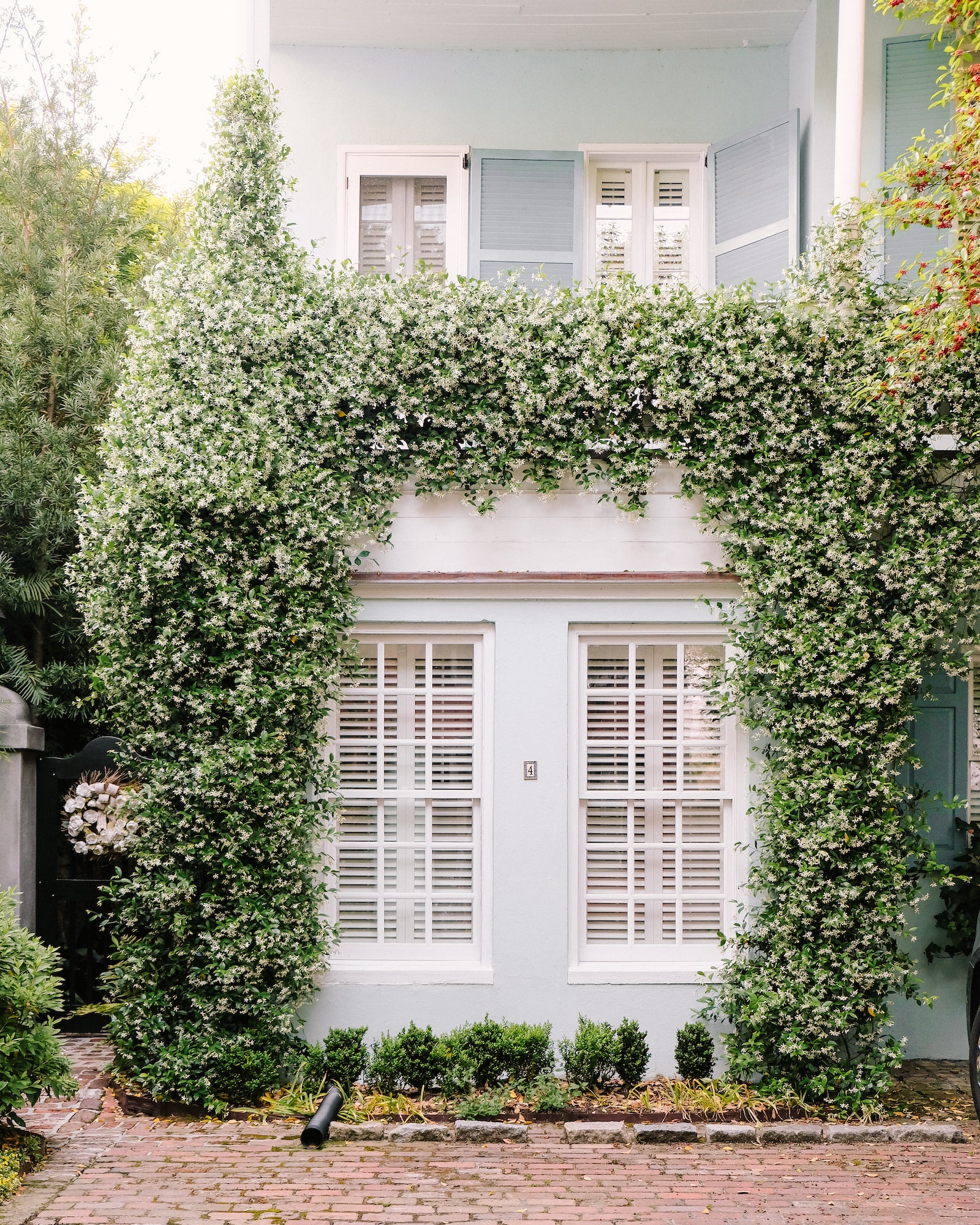 White jasmine vines growing across a soft blue Charleston house façade