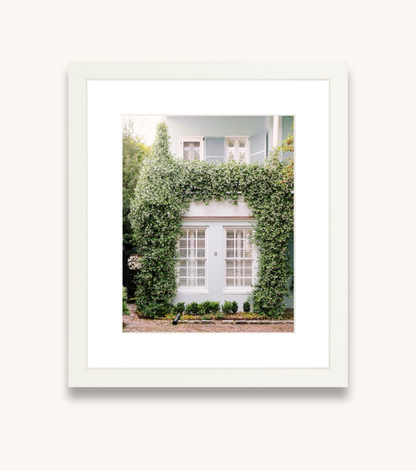 Framed Charleston wall art with jasmine vines and pastel architecture