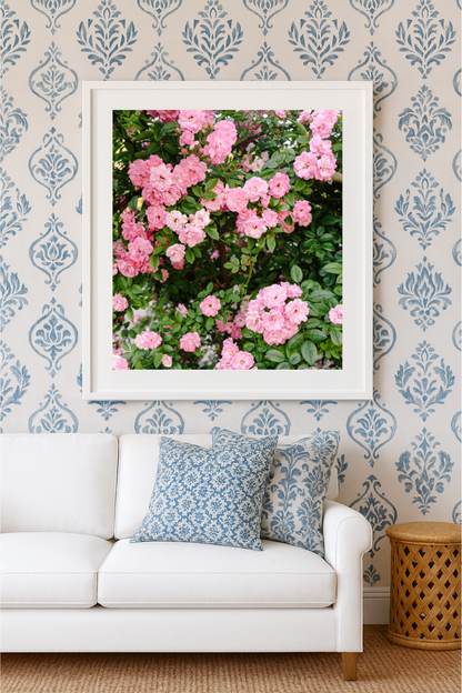 Peggy Martin rose photography styled in a light Southern coastal interior