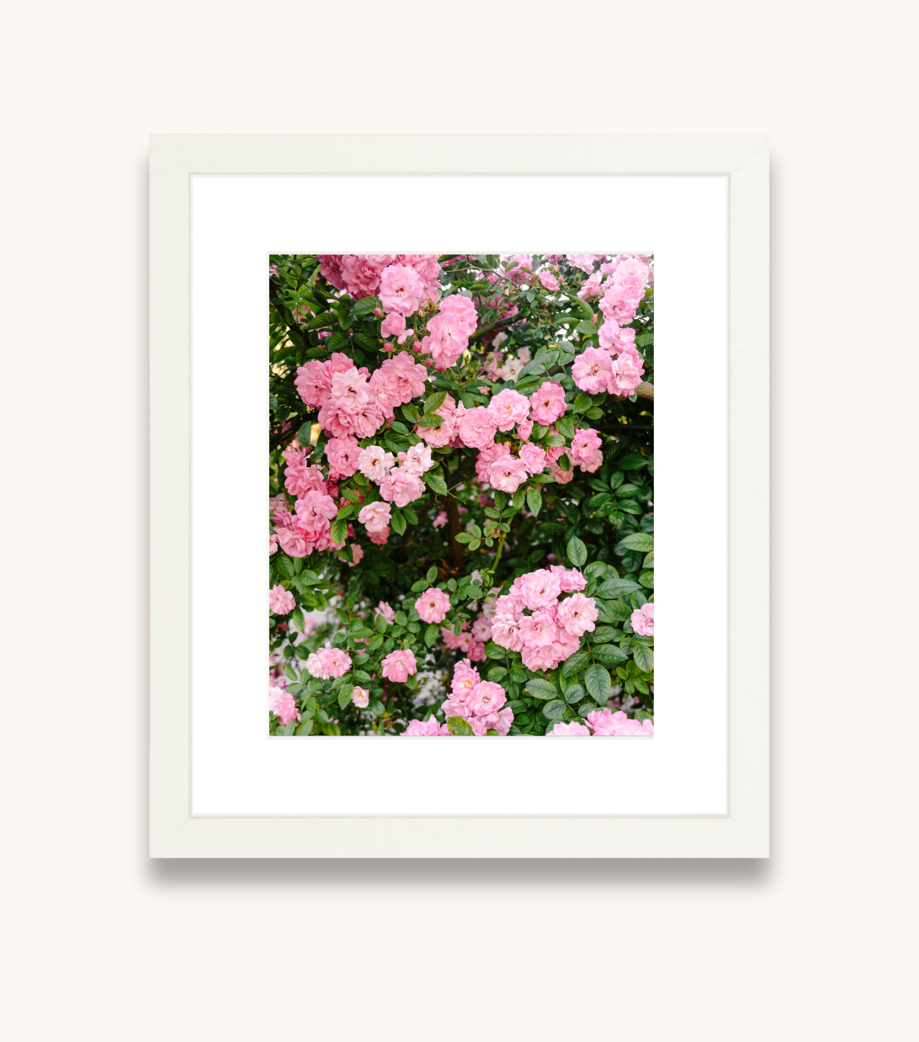 Framed Charleston wall art showcasing romantic Peggy Martin roses