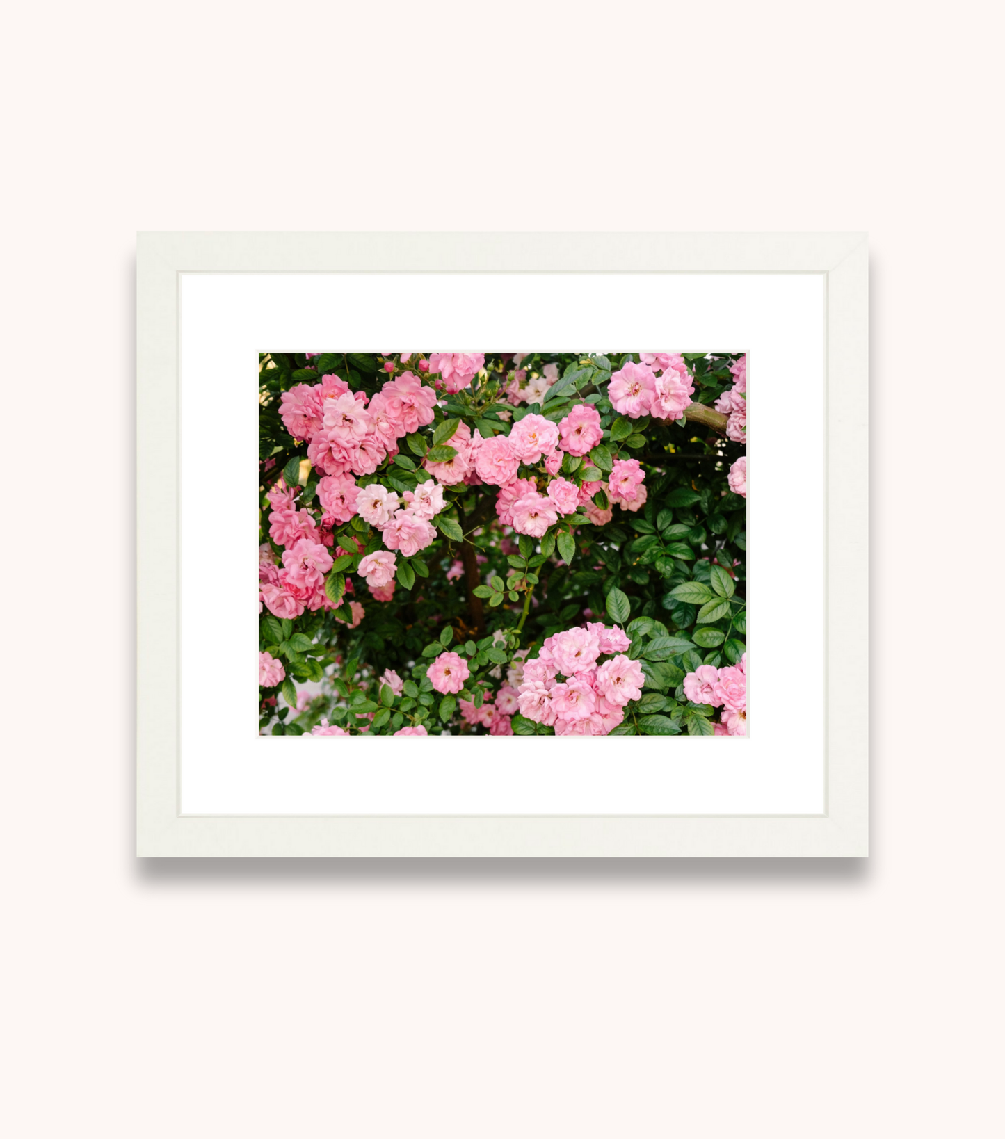 Framed Charleston floral wall art featuring pink Peggy Martin roses
