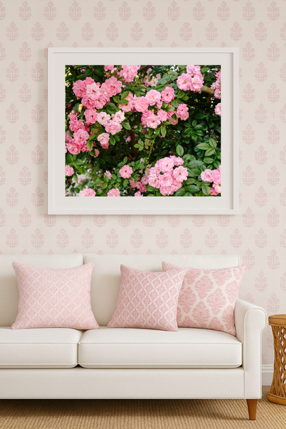 Pink rose photography styled in a light coastal interior