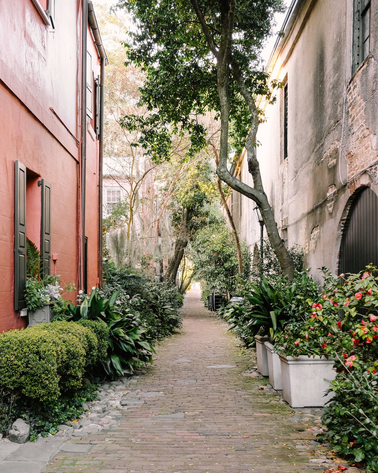Cobblestone Philadelphia Alley in historic downtown Charleston with lush greenery