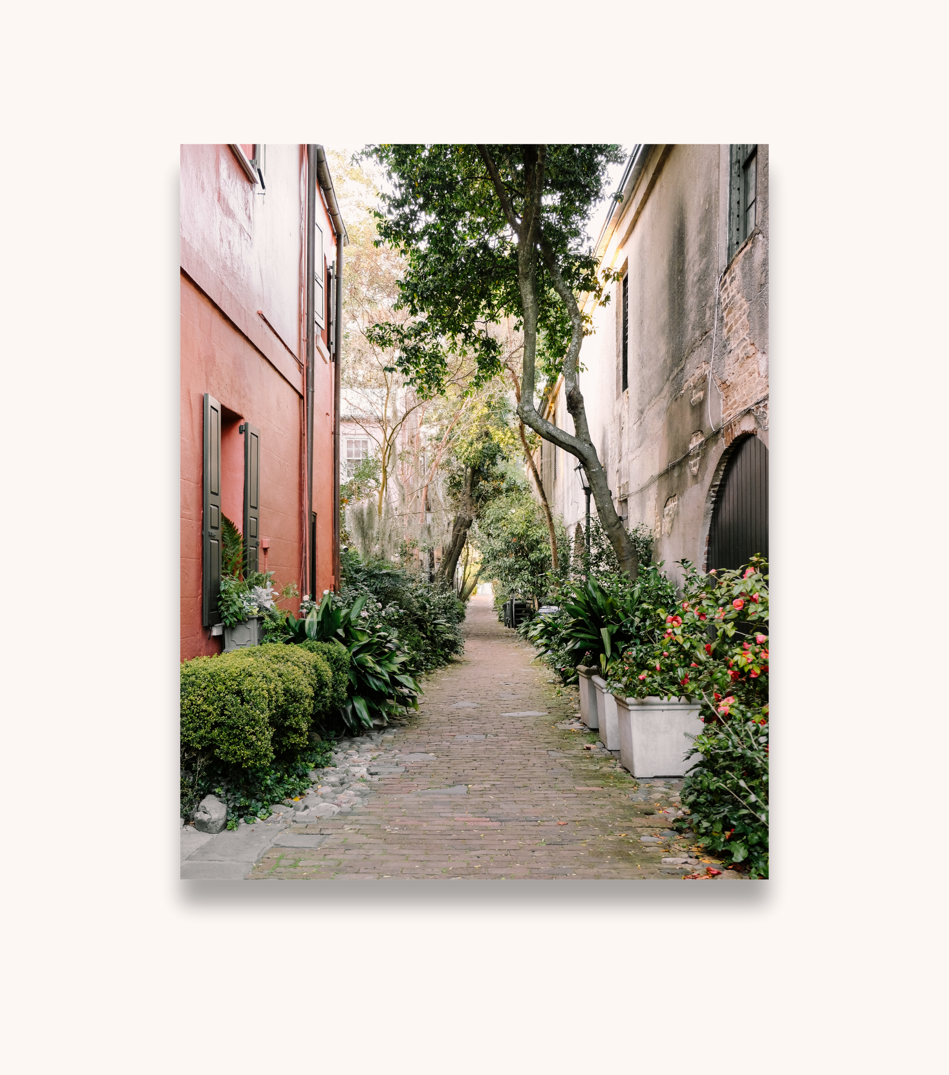 Charleston photography print featuring Philadelphia Alley and cobblestone path