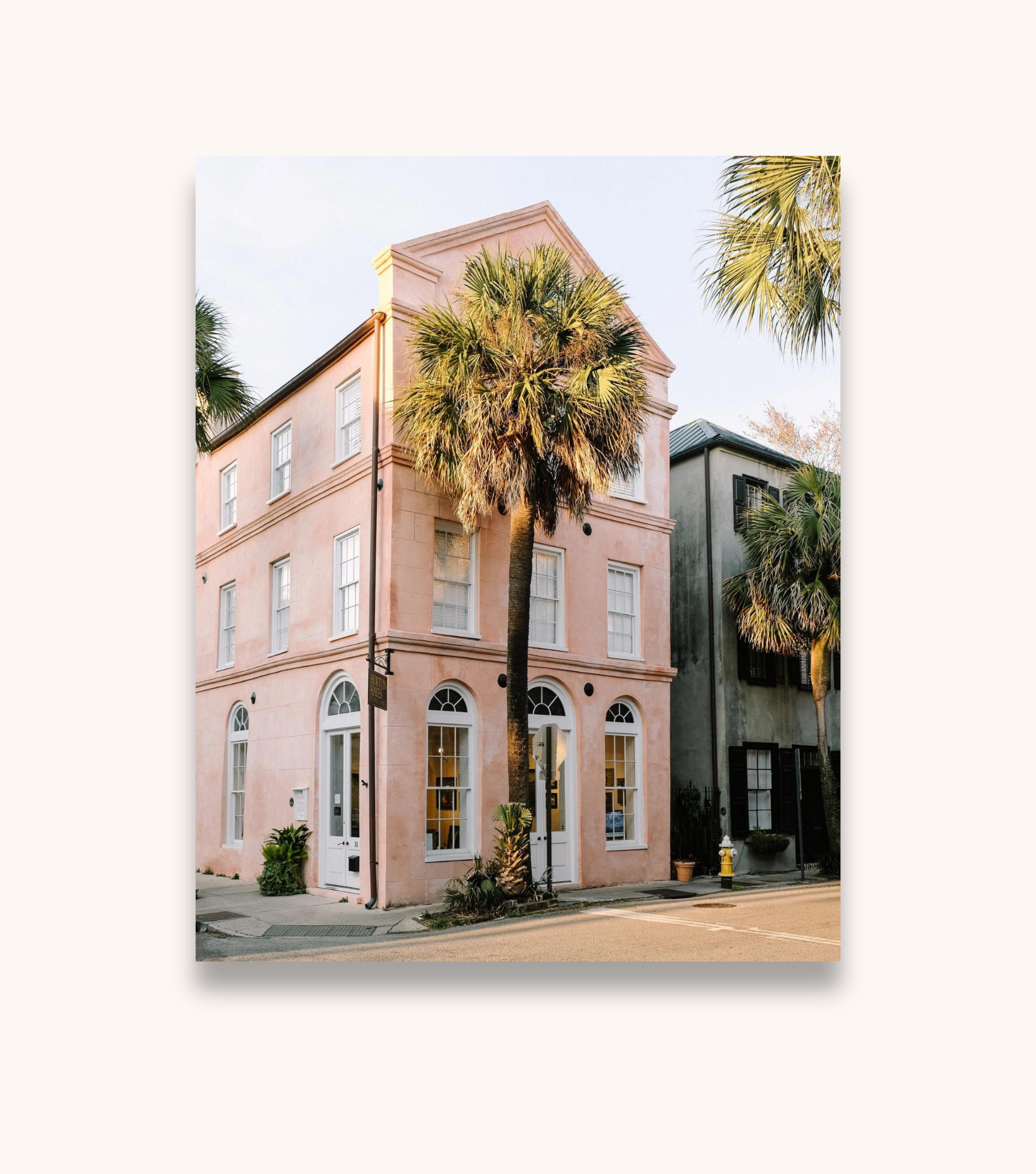 Charleston palm tree photography print with historic Lowcountry architecture