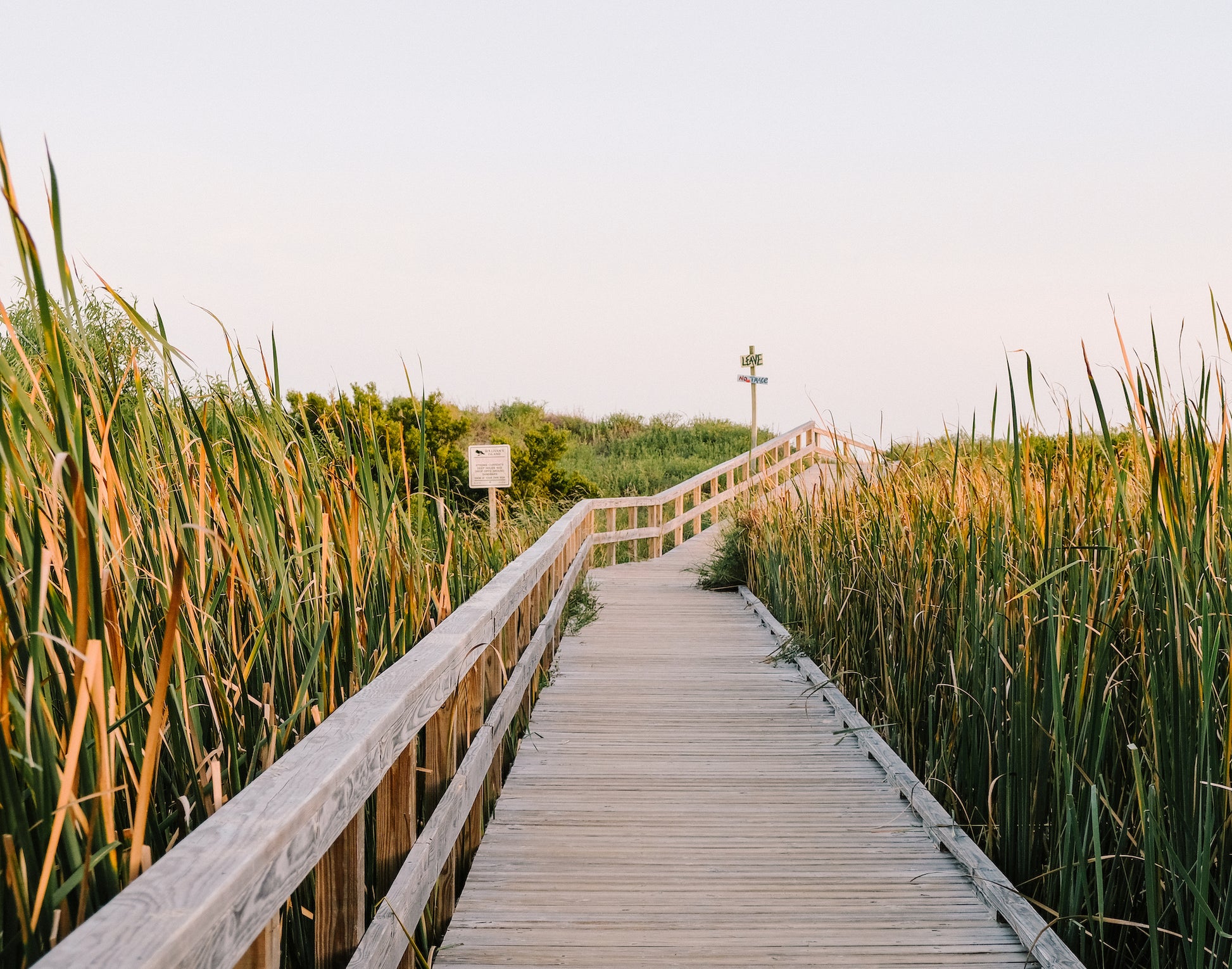 Sullivan’s Island boardwalk surrounded by seagrass on the South Carolina coast near Charleston