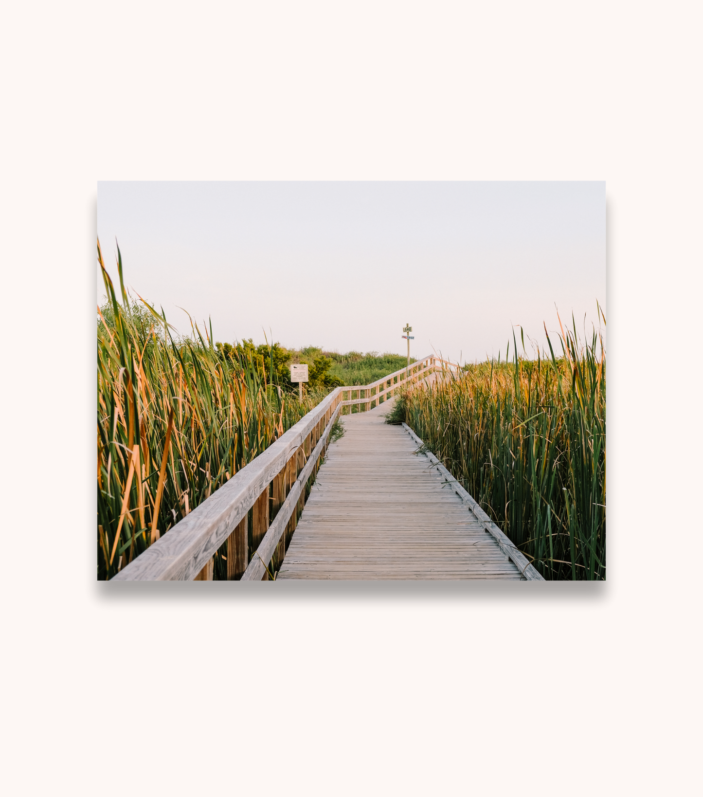 Sullivan’s Island boardwalk coastal wall art print inspired by the Charleston shoreline