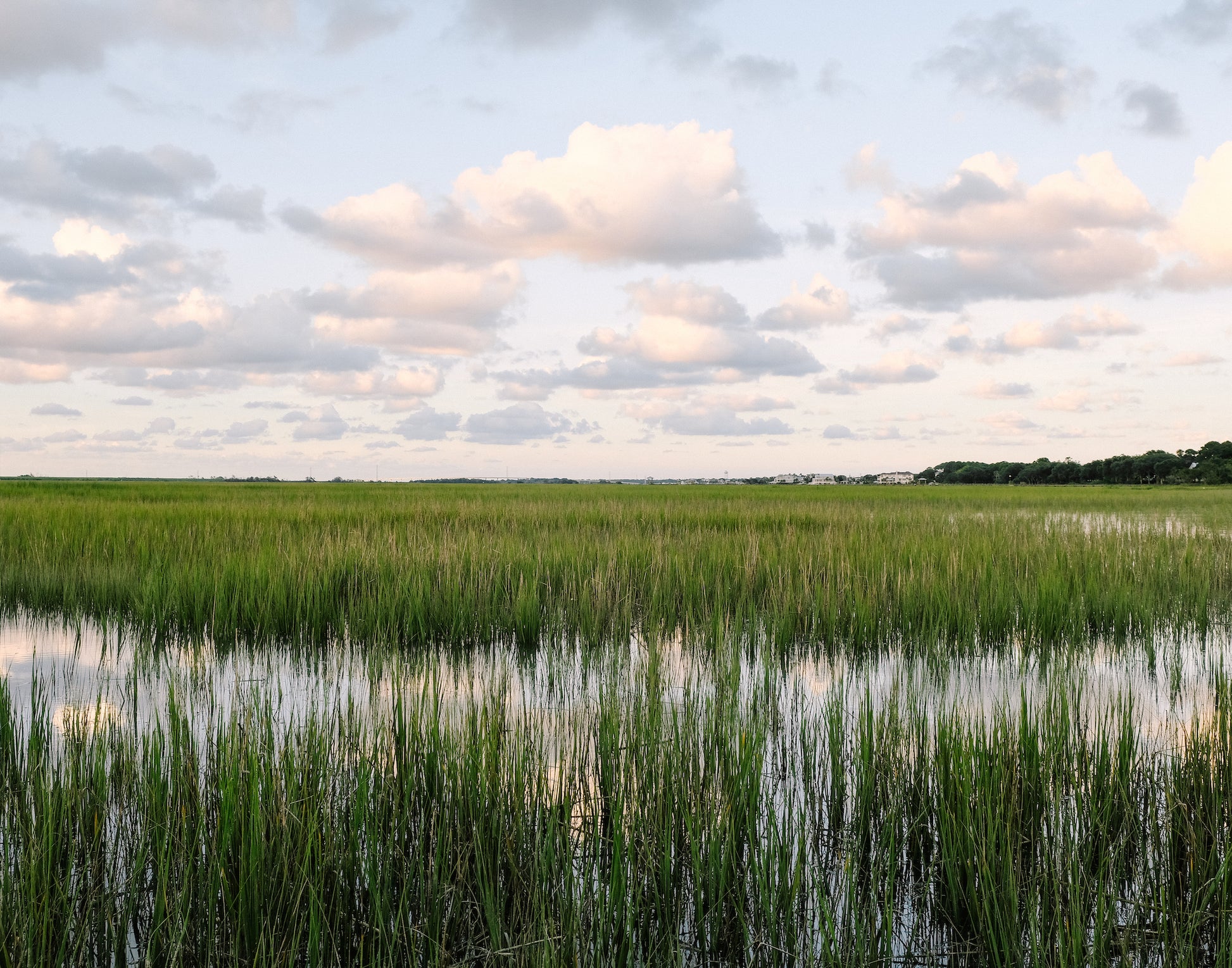 Charleston marshlands at sunset with golden light reflecting on tidal water and tall grasses