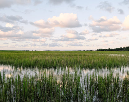 Charleston marshlands at sunset with golden light reflecting on tidal water and tall grasses