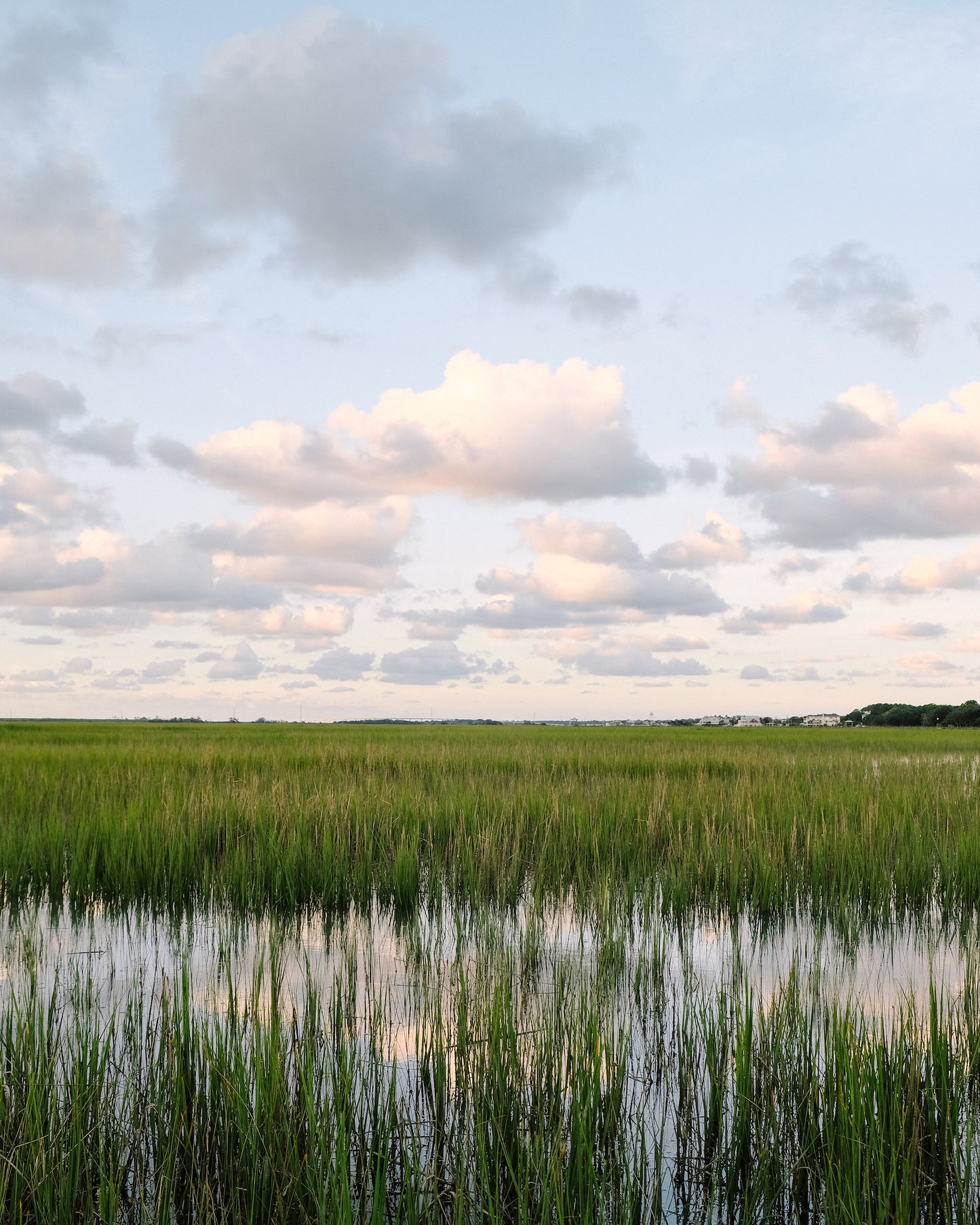 Charleston marsh at sunset with reflective water and soft pastel clouds