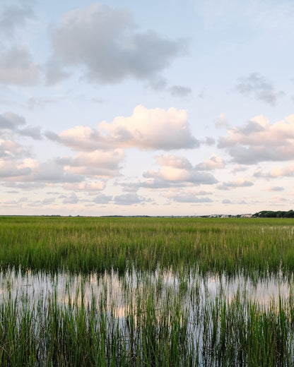 Charleston marsh at sunset with reflective water and soft pastel clouds