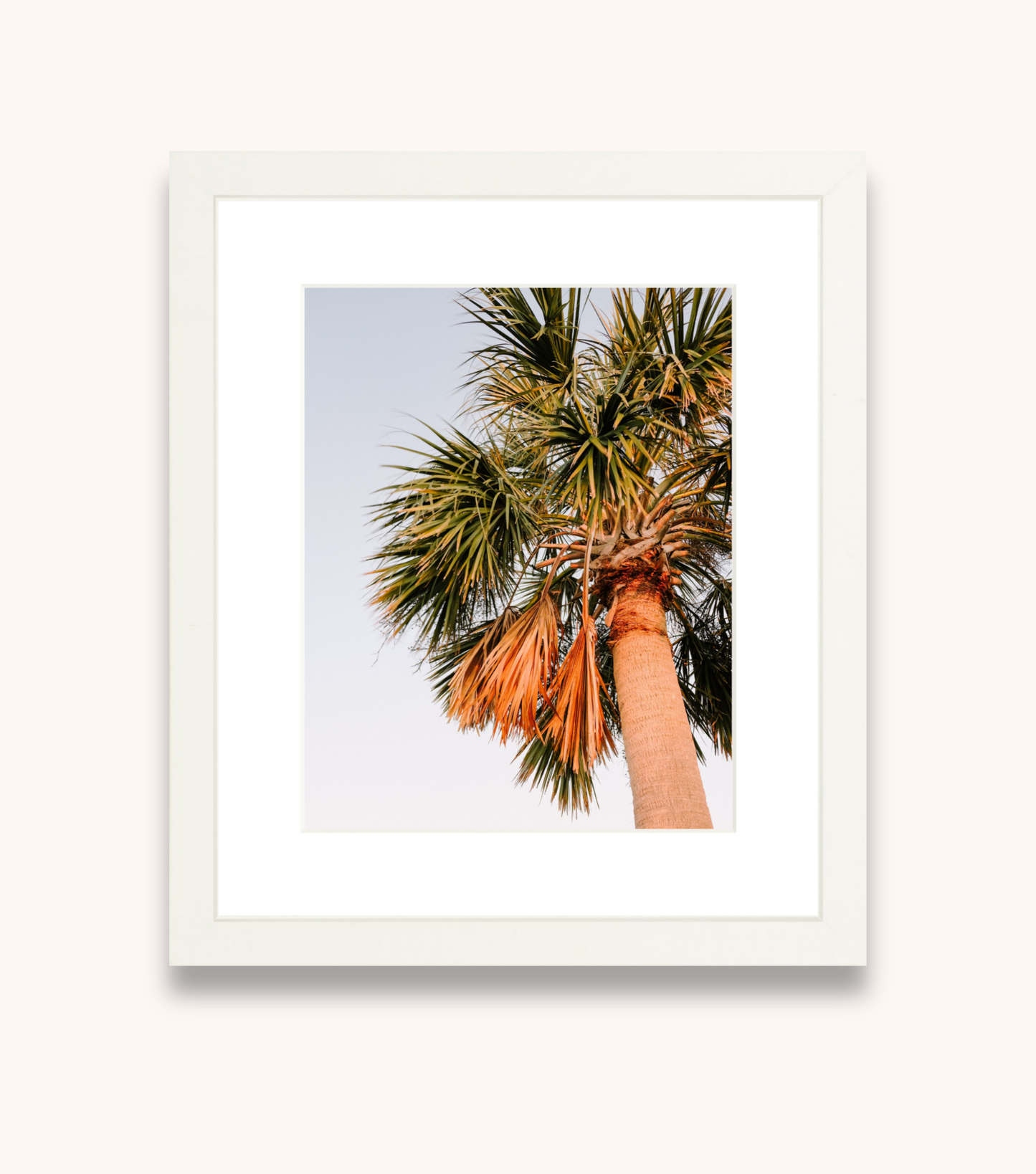 Framed Charleston wall art showcasing a palm tree at sunset