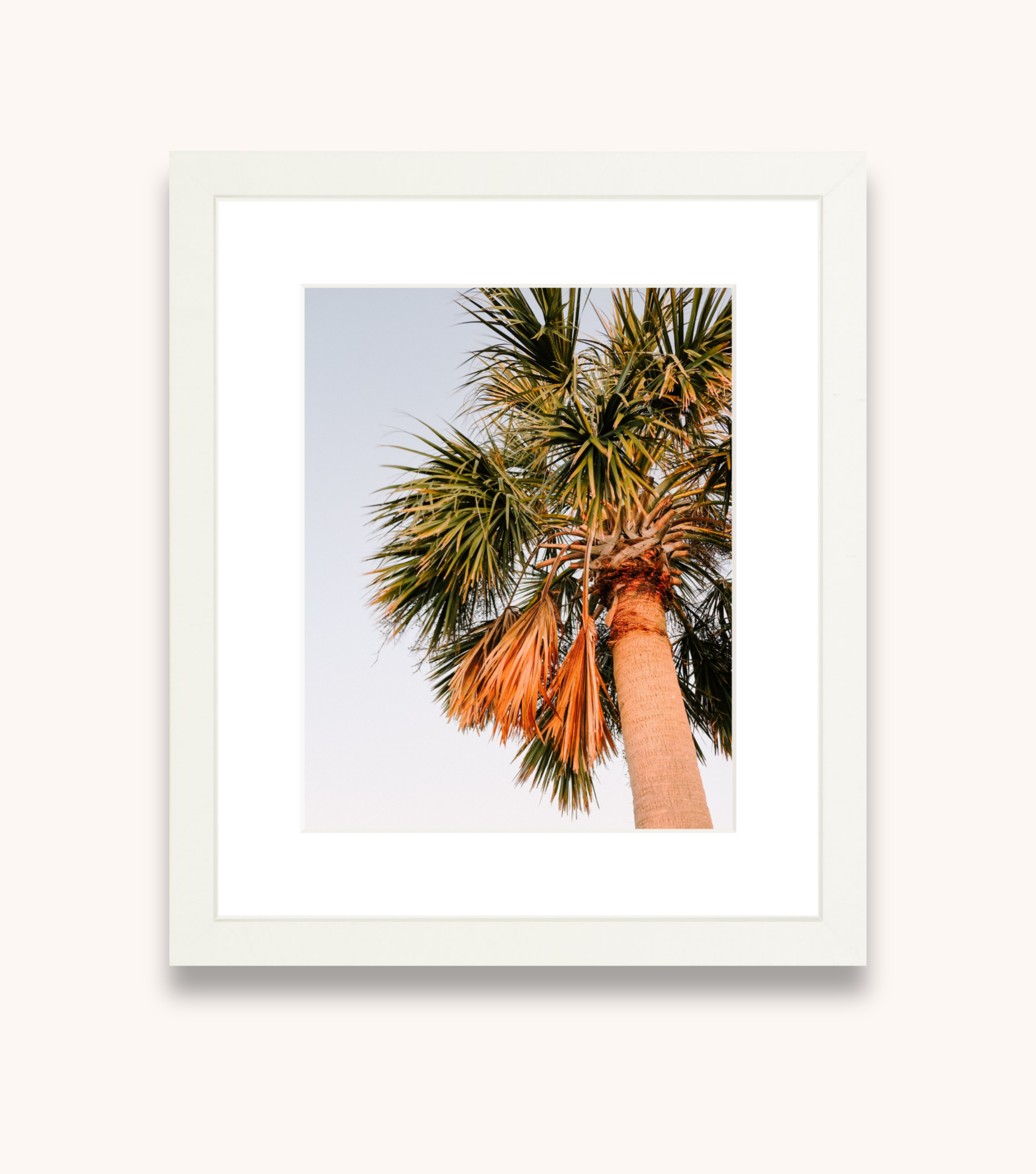 Framed Charleston wall art showcasing a palm tree at sunset