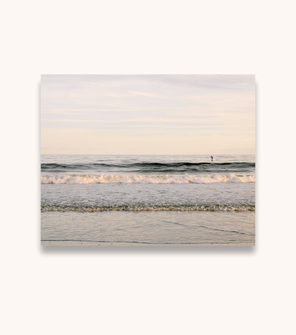 “SUP” Charleston paddleboard photograph shown as an unframed art print