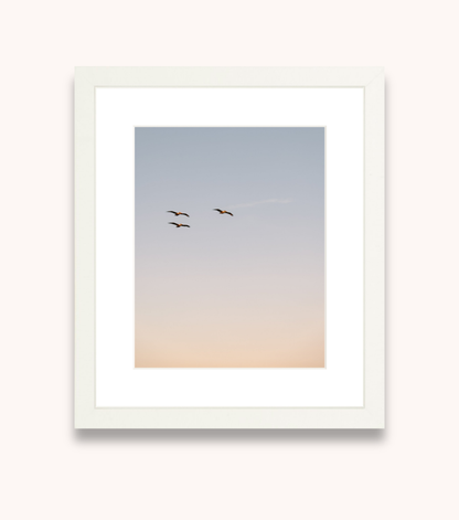 Framed coastal wall art with pelicans flying over water