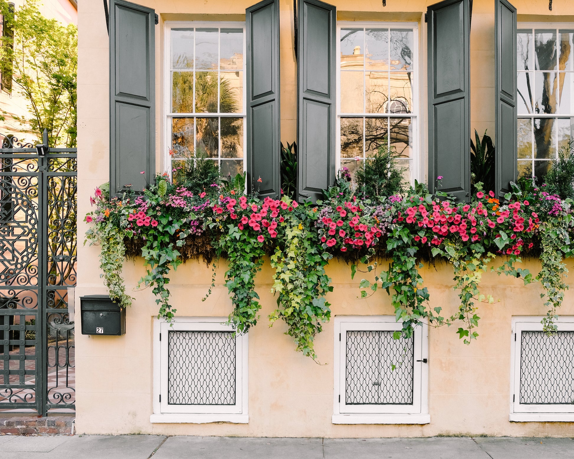 Charleston architecture photo featuring a trio of Charleston window boxes in bloom