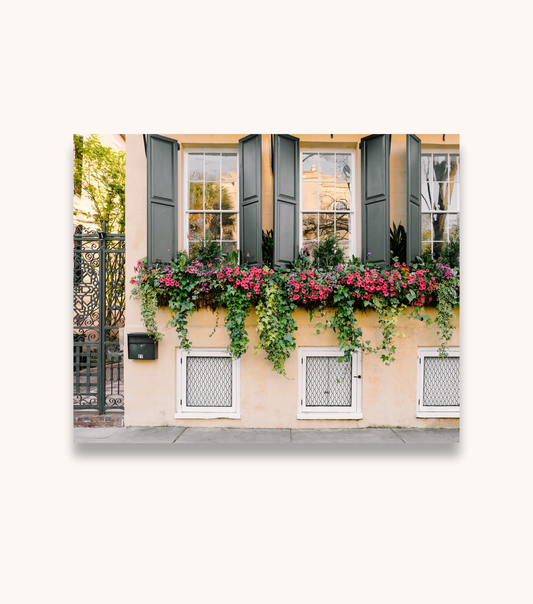 Unframed fine art print mockup of “Triplets” showcasing Charleston’s repeating windowboxes.