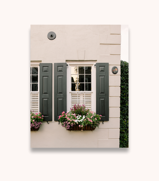 Charleston photography print featuring classic window box and shutters